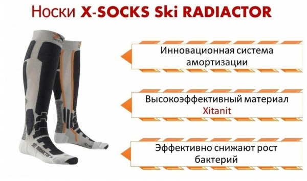 Рейтинг лучших горнолыжных носков на 2024 год Рейтинг лучших горнолыжных носков на 2024 год
