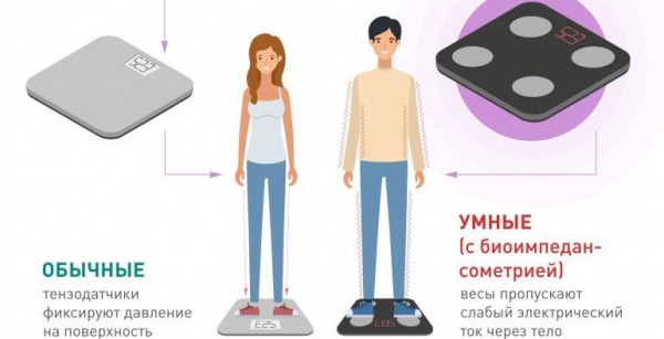 Рейтинг топ-10 умных напольных весов — следим за своим здоровьем Рейтинг топ-10 умных напольных весов — следим за своим здоровьем