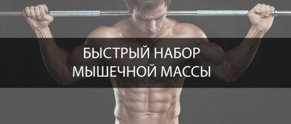 Лучшие упражнения для набора мышечной массы Лучшие упражнения для набора мышечной массы
