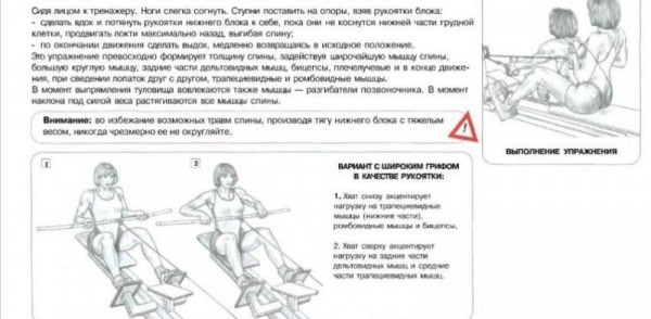 Лучшие упражнения для набора мышечной массы