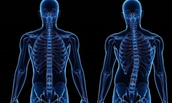 ТОП 10 лучших инверсионных столов для позвоночника, как выбрать самую хорошую модель