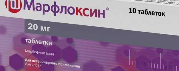 Рейтинг лучших антибактериальных препаратов для собак на 2024 год Рейтинг лучших антибактериальных препаратов для собак на 2024 год