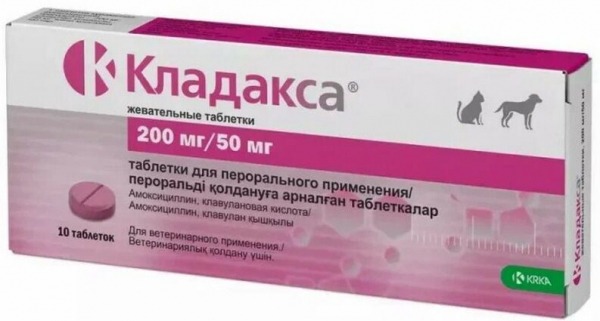 Рейтинг лучших антибактериальных препаратов для собак на 2024 год Рейтинг лучших антибактериальных препаратов для собак на 2024 год