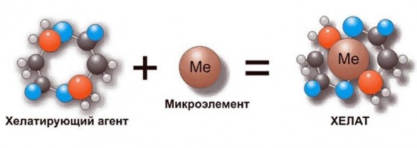 Рейтинг лучших витаминов с медью на 2024 год Рейтинг лучших витаминов с медью на 2024 год