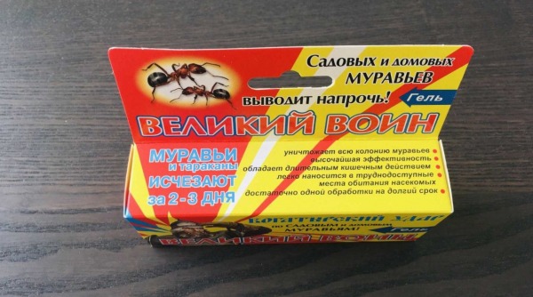 Рейтинг лучших средств от муравьев в 2025 году Рейтинг лучших средств от муравьев в 2025 году