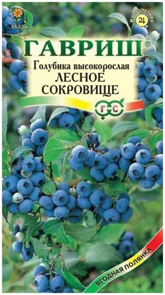Рейтинг лучших сортов голубики на 2025 год
