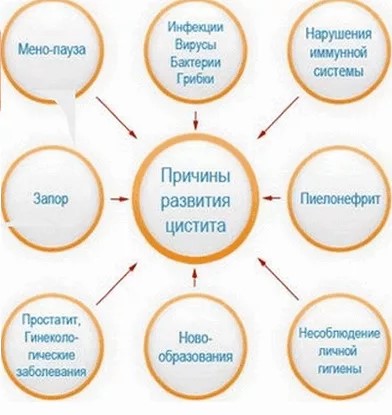 Рейтинг лучших средств от цистита на 2025 год