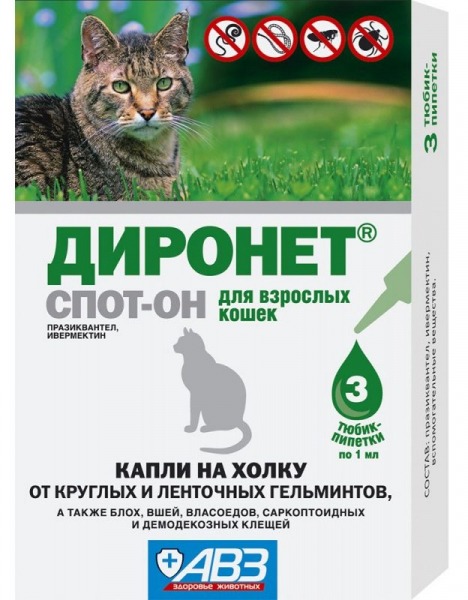 Рейтинг лучших глистогонных препаратов для кошек в 2026 году