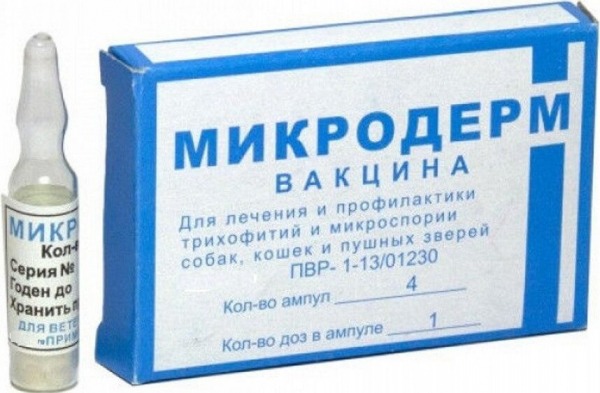 Рейтинг лучших вакцин для кошек на 2026 год