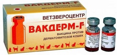 Рейтинг лучших вакцин для кошек на 2026 год