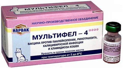 Рейтинг лучших вакцин для кошек на 2026 год